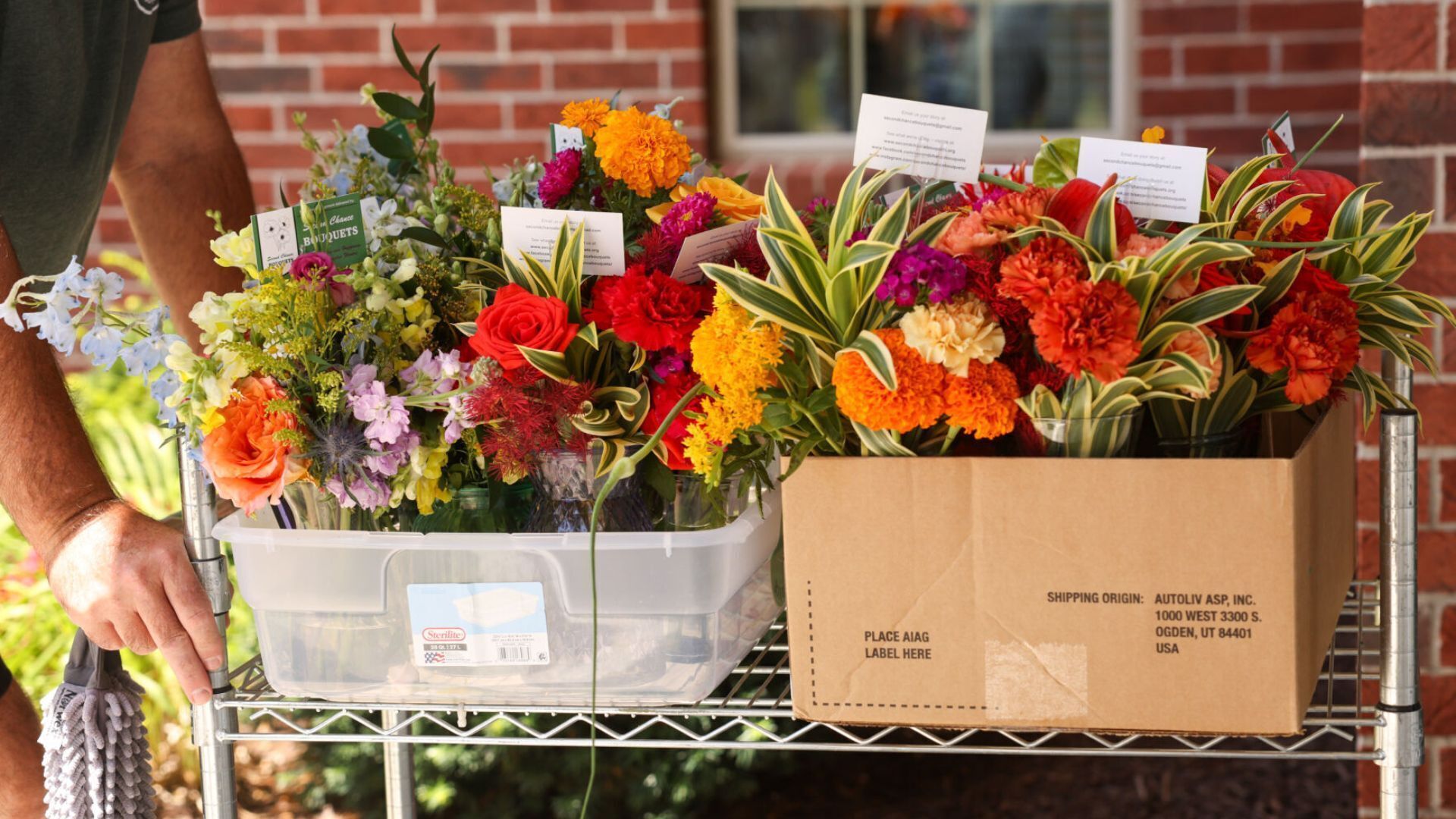'The human joy department': How Nebraska wedding flowers get a second life with seniors